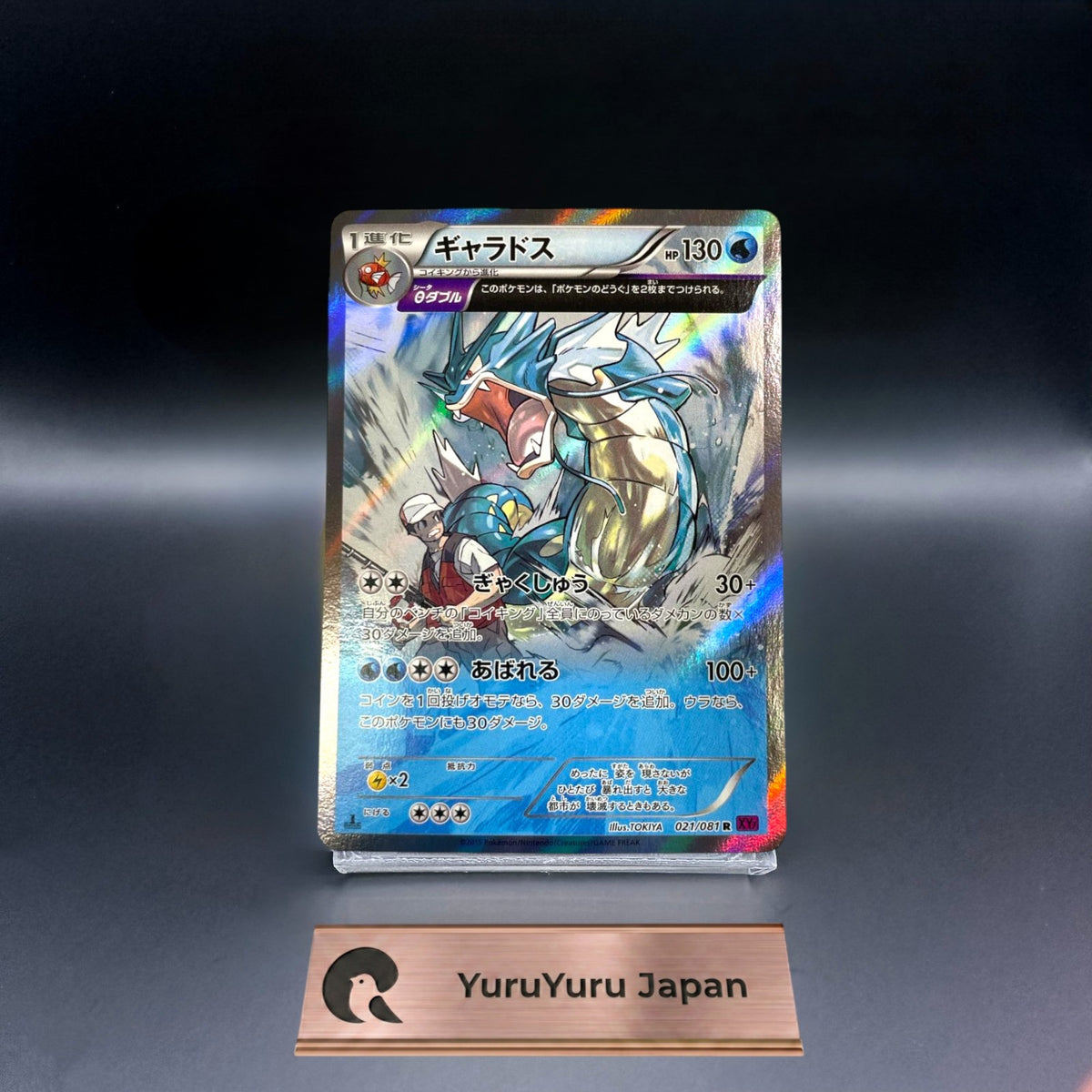 [021/081] Gyarados R Bandit Ring XY7 1st Edition 2015