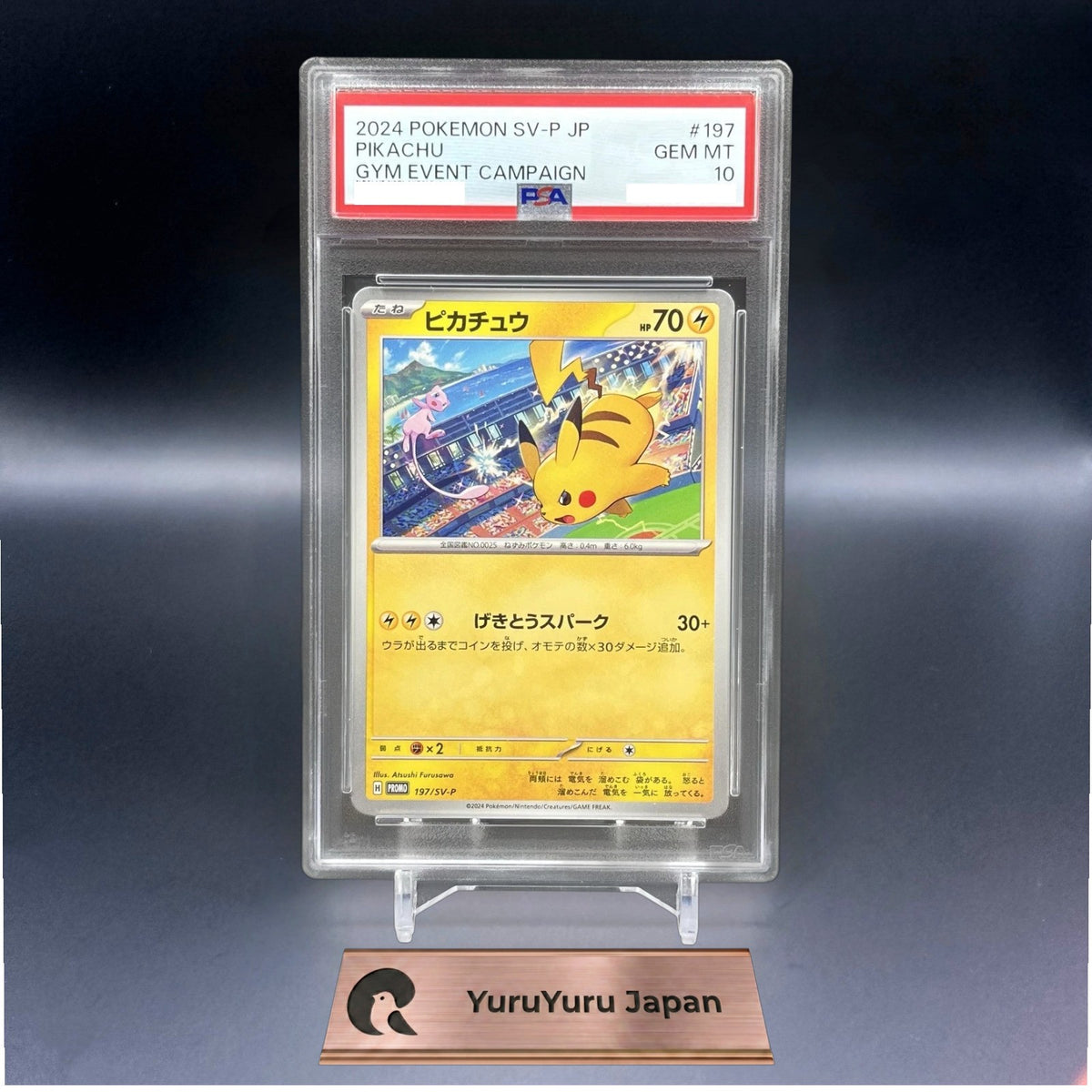 PSA 10 Pikachu 120 197/SV-P Gym Event 2023 2024 Promo Set Pokemon Card Japanese