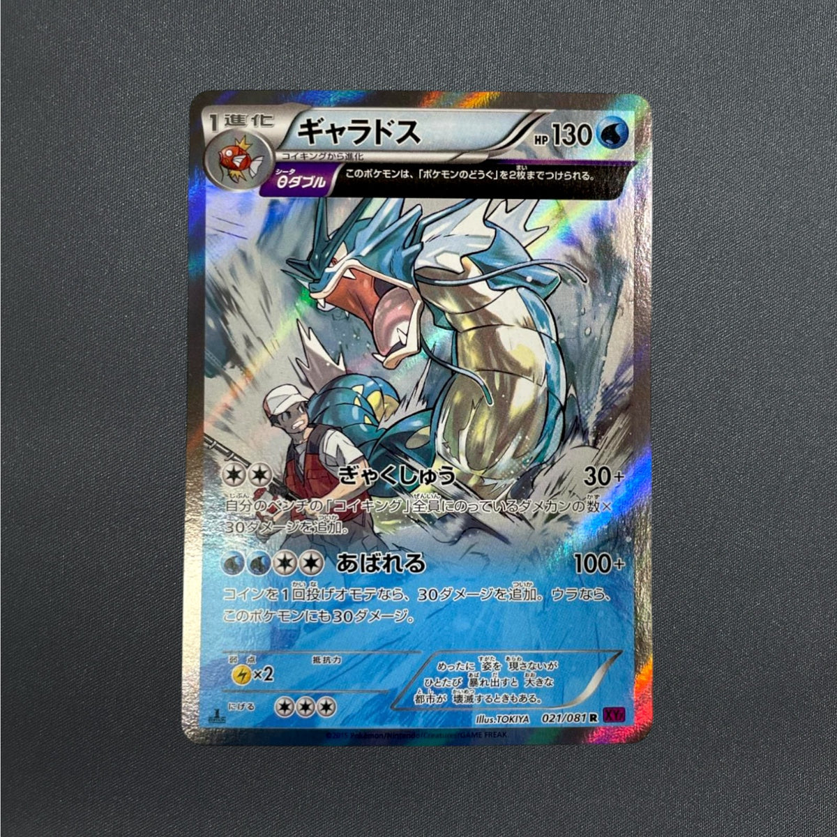 [021/081] Gyarados R Bandit Ring XY7 1st Edition 2015